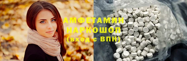 прущие грибы Алзамай