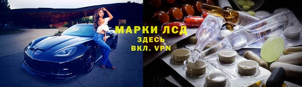 прущие грибы Алзамай