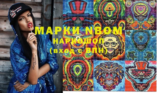 прущие грибы Алзамай