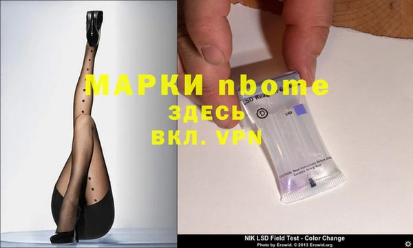 прущие грибы Алзамай