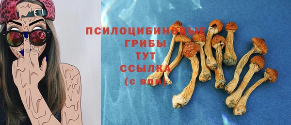 амфетамин Алексеевка