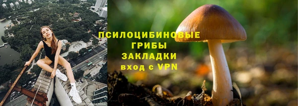 амфетамин Алексеевка