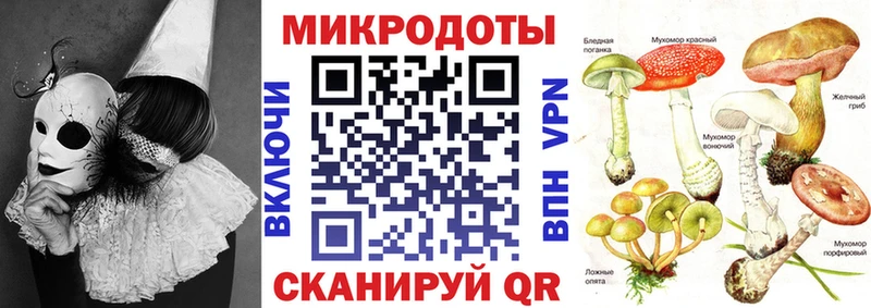 где найти наркотики  Анжеро-Судженск  Галлюциногенные грибы Cubensis 